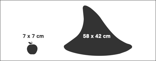 sharkfin-1